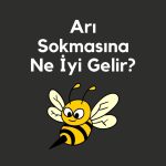 Arı Sokmasına Ne İyi Gelir?