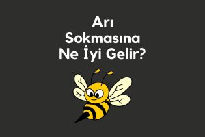 Arı Sokmasına Ne İyi Gelir?