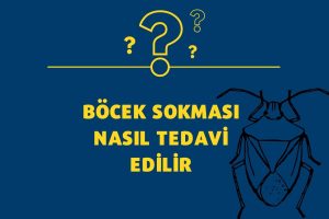 Böcek Sokması Nasıl Tedavi Edilir