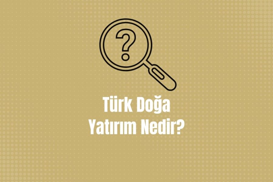 Fdi onayi nedir