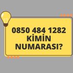 08504841282 Kimin Numarası?