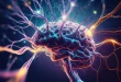 Epilepsi Nedir? Tedavi Yöntemleri Nedir?